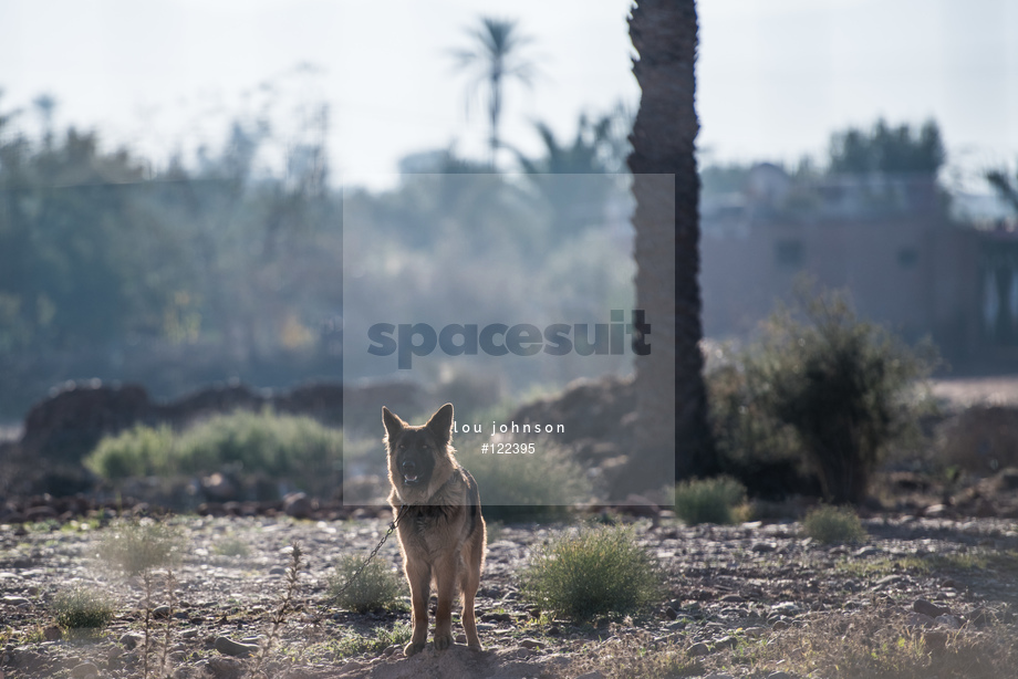 Spacesuit Collections Photo ID 122395, Lou Johnson, Marrakesh E-Prix, Morocco, 10/01/2019 10:21:38