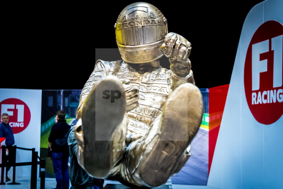 Spacesuit Collections Photo ID 123613, Nic Redhead, Autosport International 2019, UK, 12/01/2019 12:12:39