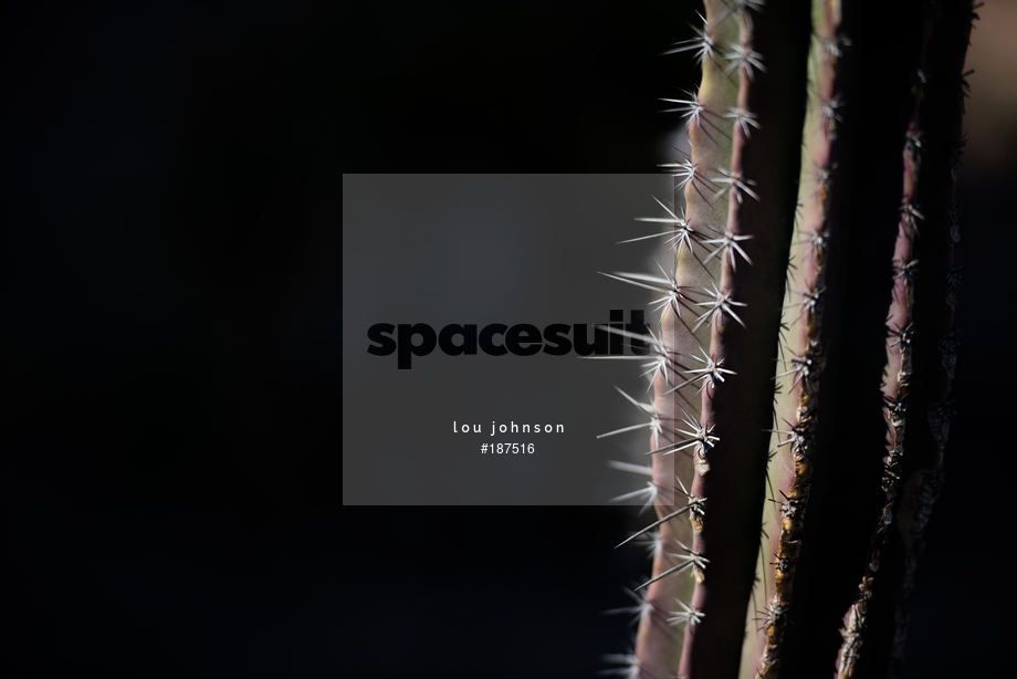 Spacesuit Collections Photo ID 187516, Lou Johnson, Marrakesh E-Prix, Morocco, 26/02/2020 12:46:49