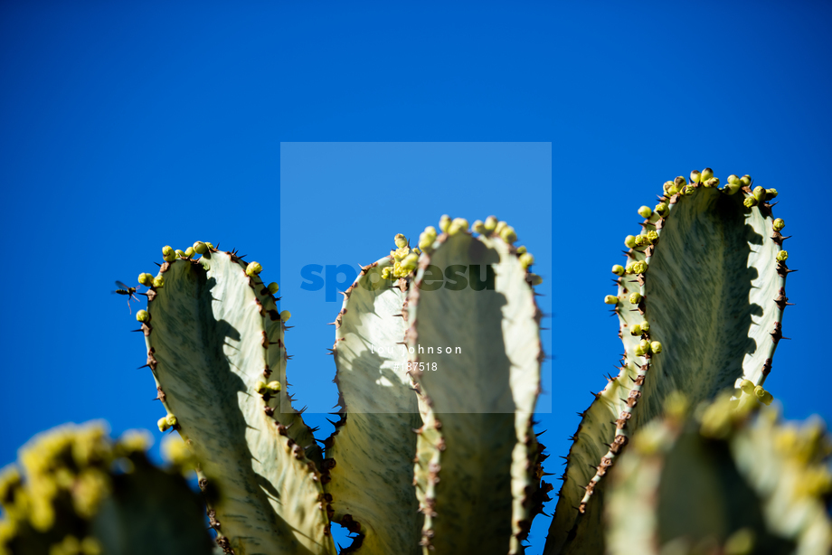 Spacesuit Collections Photo ID 187518, Lou Johnson, Marrakesh E-Prix, Morocco, 26/02/2020 12:47:10