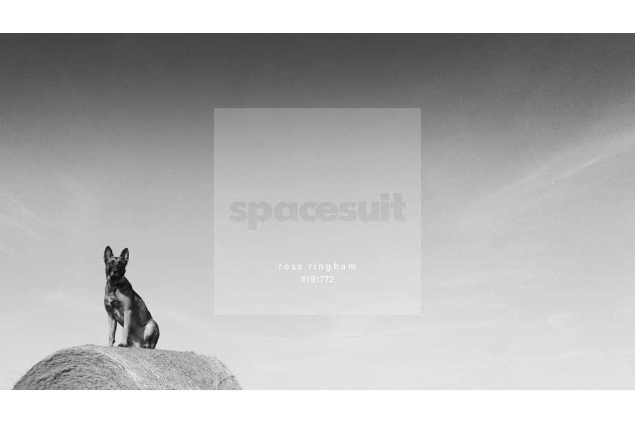 Spacesuit Collections Photo ID 191772, Ross Ringham, UK, 24/03/2020 14:44:38