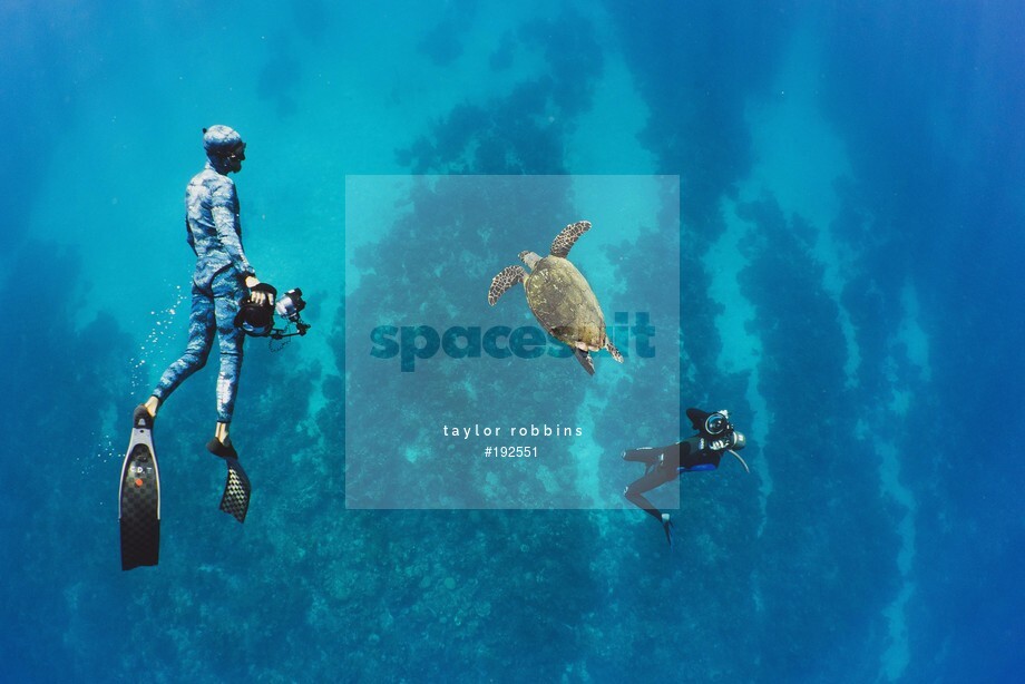 Spacesuit Collections Photo ID 192551, Taylor Robbins, Freediving, Cayman Islands, 25/10/2018 08:15:26