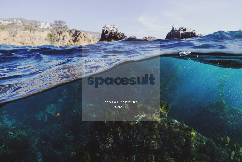Spacesuit Collections Photo ID 192560, Taylor Robbins, Freediving, United States, 02/01/2018 20:10:50