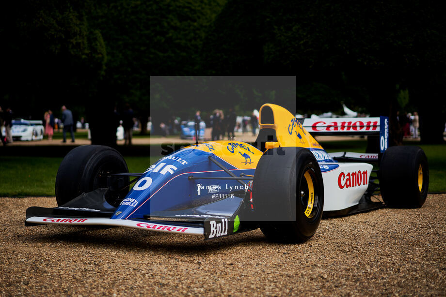Spacesuit Collections Photo ID 211116, James Lynch, Concours of Elegance, UK, 04/09/2020 12:19:45