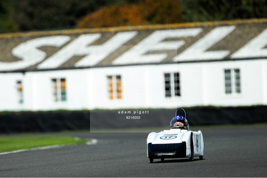 Spacesuit Collections Photo ID 216055, Adam Pigott, Goodwood, UK, 11/10/2020 13:32:19