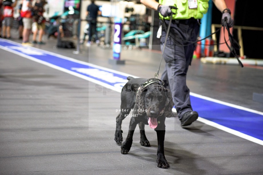 Spacesuit Collections Photo ID 255487, Peter Minnig, London ePrix, UK, 22/07/2021 15:49:39