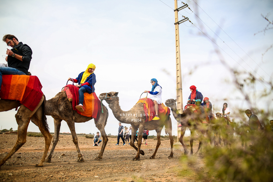 Spacesuit Collections Photo ID 3054, Shivraj Gohil, Marrakesh ePrix, Morocco, 10/11/2016 13:00:12