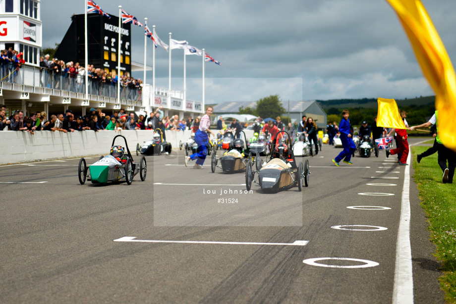 Spacesuit Collections Photo ID 31524, Lou Johnson, Greenpower Goodwood, UK, 25/06/2017 12:52:53