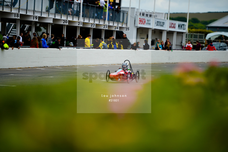 Spacesuit Collections Photo ID 31601, Lou Johnson, Greenpower Goodwood, UK, 25/06/2017 14:27:36