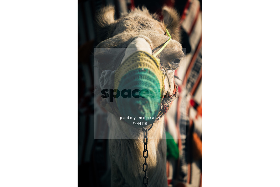Spacesuit Collections Photo ID 444116, Paddy McGrath, Diriyah ePrix, Saudi Arabia, 24/01/2024 15:22:56