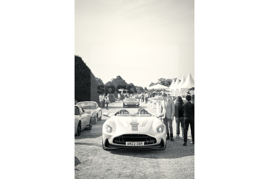 Spacesuit Collections Photo ID 511021, James Lynch, Concours of Elegance, UK, 30/08/2024 09:59:08