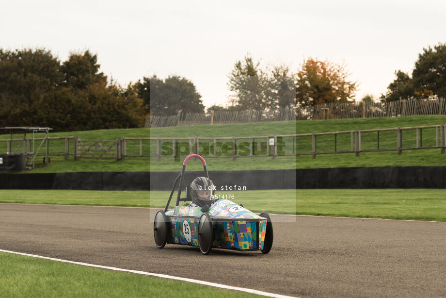 Spacesuit Collections Photo ID 514176, Alex Stefan, Greenpower International Final, UK, 13/10/2024 09:16:03