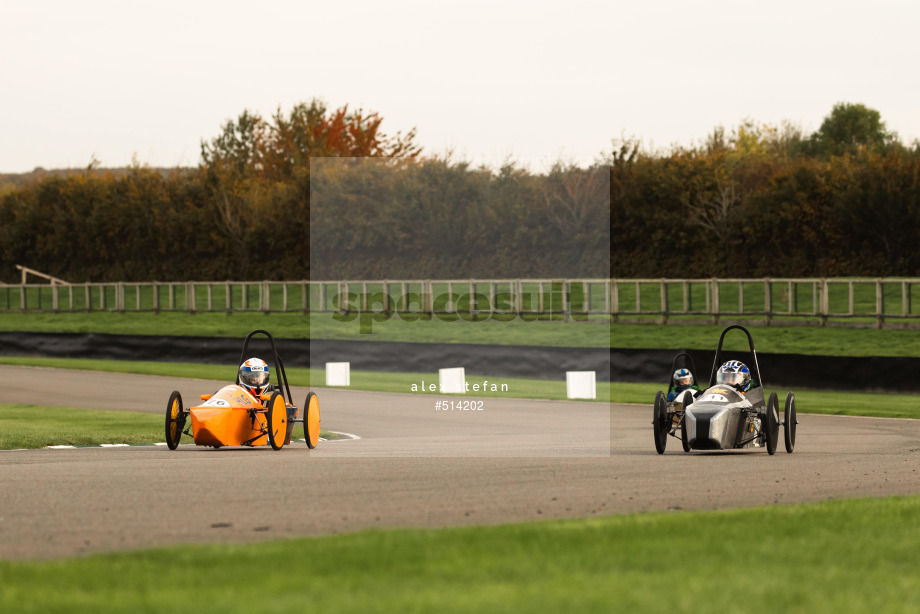 Spacesuit Collections Photo ID 514202, Alex Stefan, Greenpower International Final, UK, 13/10/2024 09:19:43