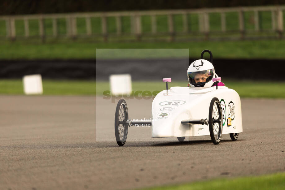 Spacesuit Collections Photo ID 514213, Alex Stefan, Greenpower International Final, UK, 13/10/2024 09:23:22