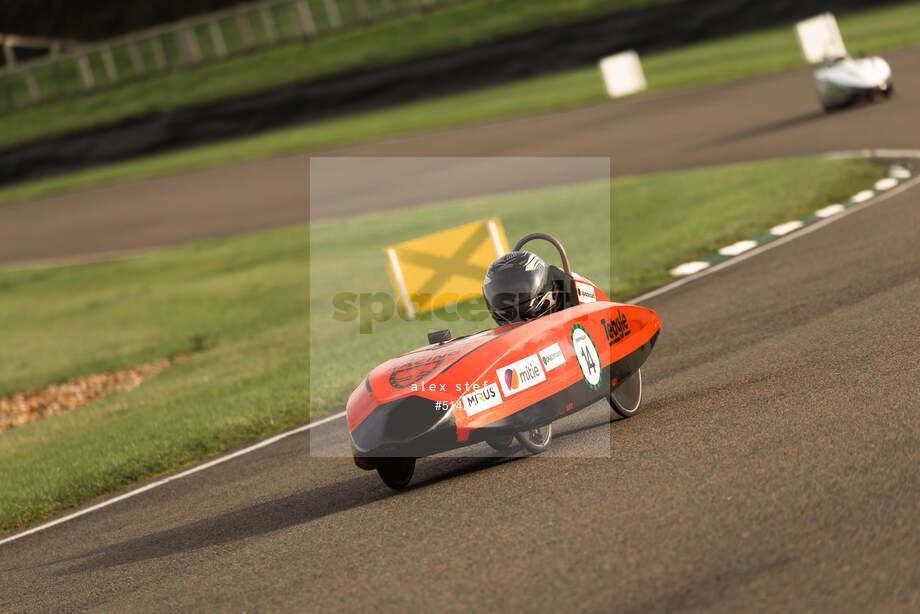 Spacesuit Collections Photo ID 514245, Alex Stefan, Greenpower International Final, UK, 13/10/2024 09:35:25