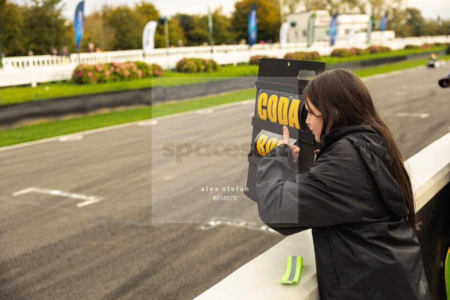 Spacesuit Collections Photo ID 514573, Alex Stefan, Greenpower International Final, UK, 13/10/2024 16:18:16