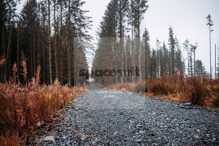 Spacesuit Collections Photo ID 514651, Adam Pigott, Cambrian Rally, UK, 25/10/2024 12:13:57