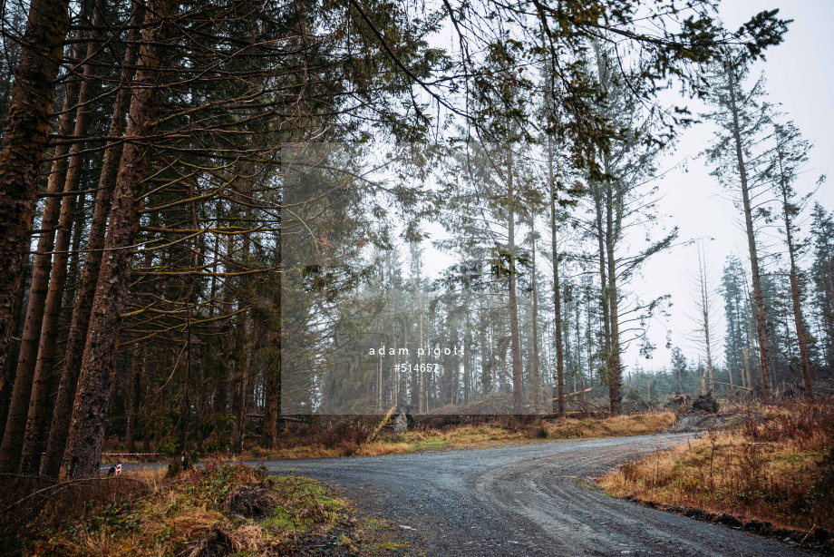 Spacesuit Collections Photo ID 514657, Adam Pigott, Cambrian Rally, UK, 25/10/2024 12:18:42