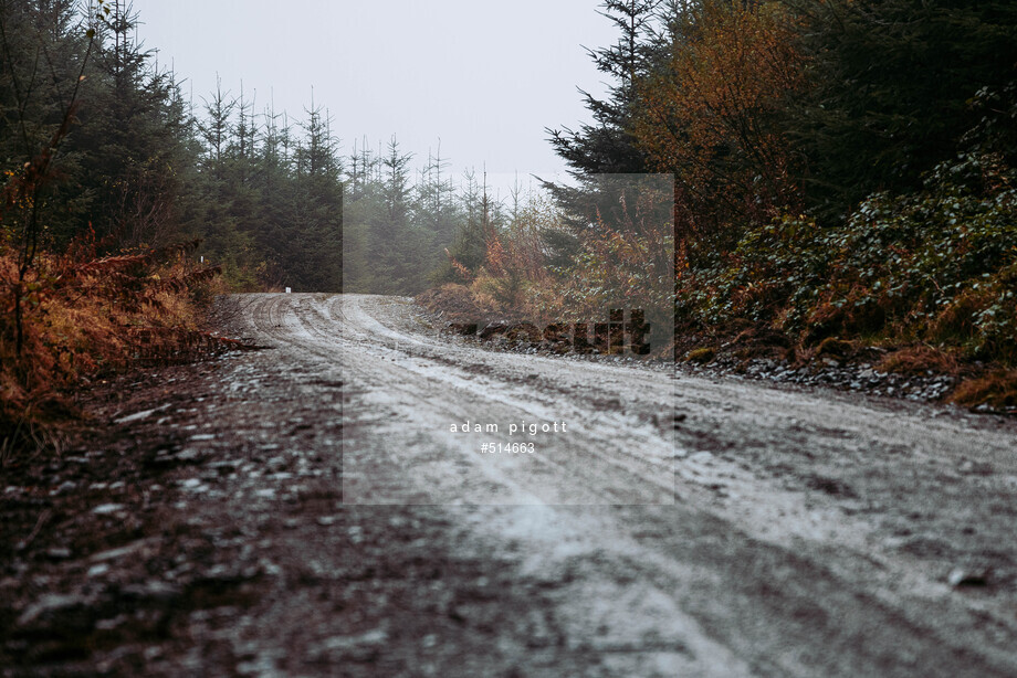 Spacesuit Collections Photo ID 514663, Adam Pigott, Cambrian Rally, UK, 25/10/2024 12:23:58