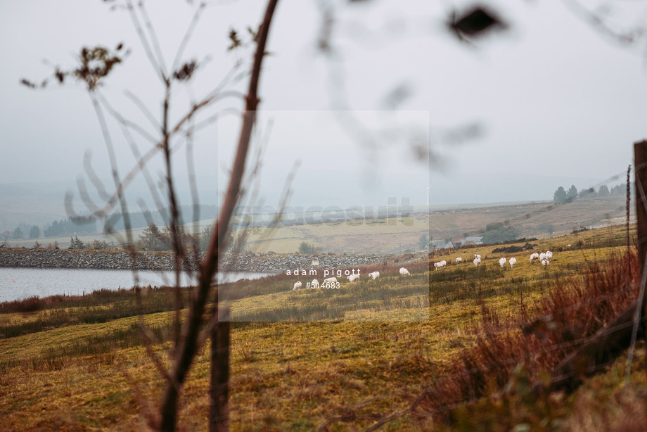 Spacesuit Collections Photo ID 514683, Adam Pigott, Cambrian Rally, UK, 25/10/2024 13:26:51