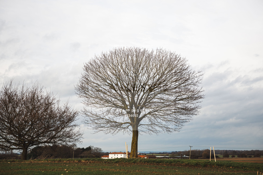 Spacesuit Collections Photo ID 534693, Adam Pigott, East Riding Stages, UK, 21/02/2025 12:45:23