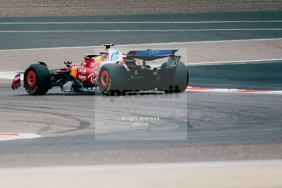 Spacesuit Collections Photo ID 537548, Birgit Dieryck, Formula 1 Aramco Pre-season Testing, Bahrain, 26/02/2025 12:22:14