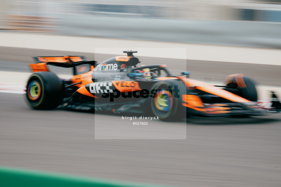 Spacesuit Collections Photo ID 537600, Birgit Dieryck, Formula 1 Aramco Pre-season Testing, Bahrain, 26/02/2025 12:00:08