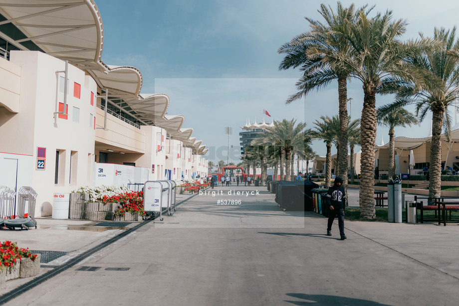 Spacesuit Collections Photo ID 537896, Birgit Dieryck, Formula 1 Aramco Pre-season Testing, Bahrain, 28/02/2025 08:55:26