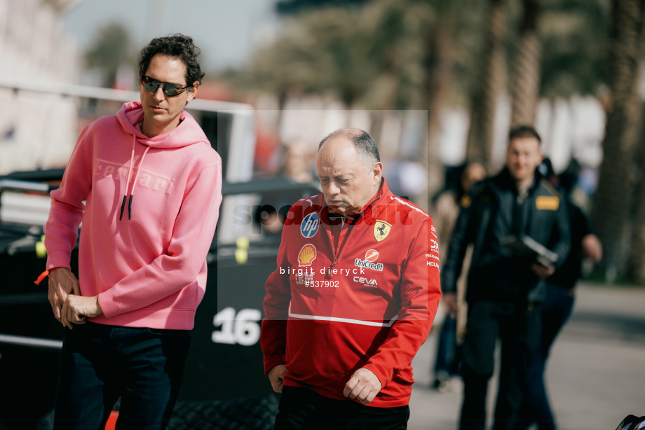 Spacesuit Collections Photo ID 537902, Birgit Dieryck, Formula 1 Aramco Pre-season Testing, Bahrain, 28/02/2025 09:52:23