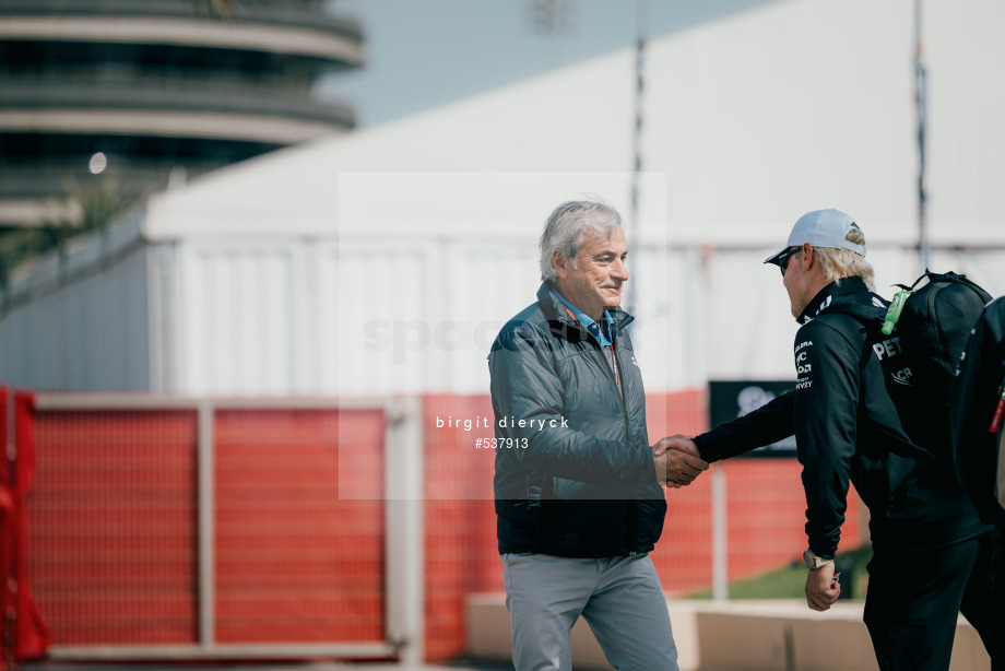 Spacesuit Collections Photo ID 537913, Birgit Dieryck, Formula 1 Aramco Pre-season Testing, Bahrain, 28/02/2025 10:04:05