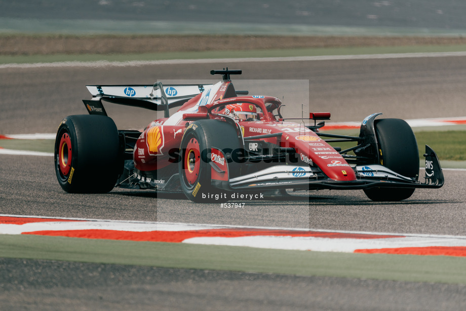 Spacesuit Collections Photo ID 537947, Birgit Dieryck, Formula 1 Aramco Pre-season Testing, Bahrain, 28/02/2025 11:02:58