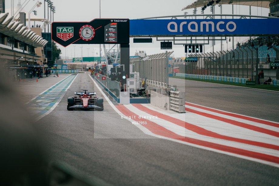 Spacesuit Collections Photo ID 537953, Birgit Dieryck, Formula 1 Aramco Pre-season Testing, Bahrain, 28/02/2025 11:19:00