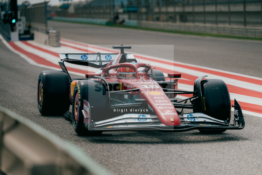 Spacesuit Collections Photo ID 537954, Birgit Dieryck, Formula 1 Aramco Pre-season Testing, Bahrain, 28/02/2025 11:19:03