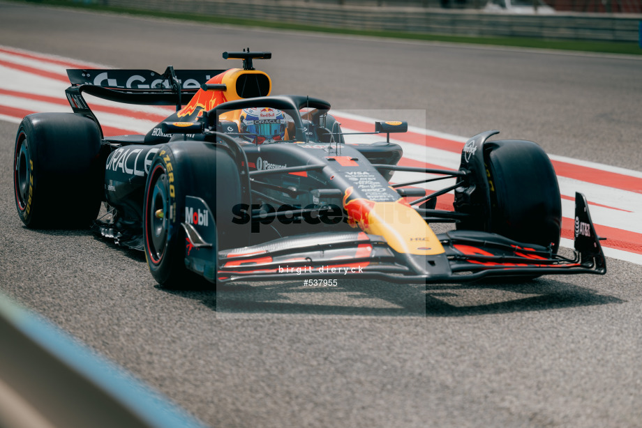 Spacesuit Collections Photo ID 537955, Birgit Dieryck, Formula 1 Aramco Pre-season Testing, Bahrain, 28/02/2025 11:20:51