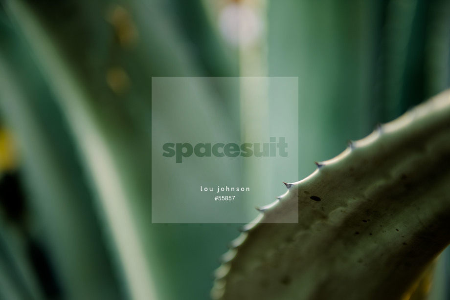 Spacesuit Collections Photo ID 55857, Lou Johnson, Mexico City ePrix, Mexico, 27/02/2018 18:10:13