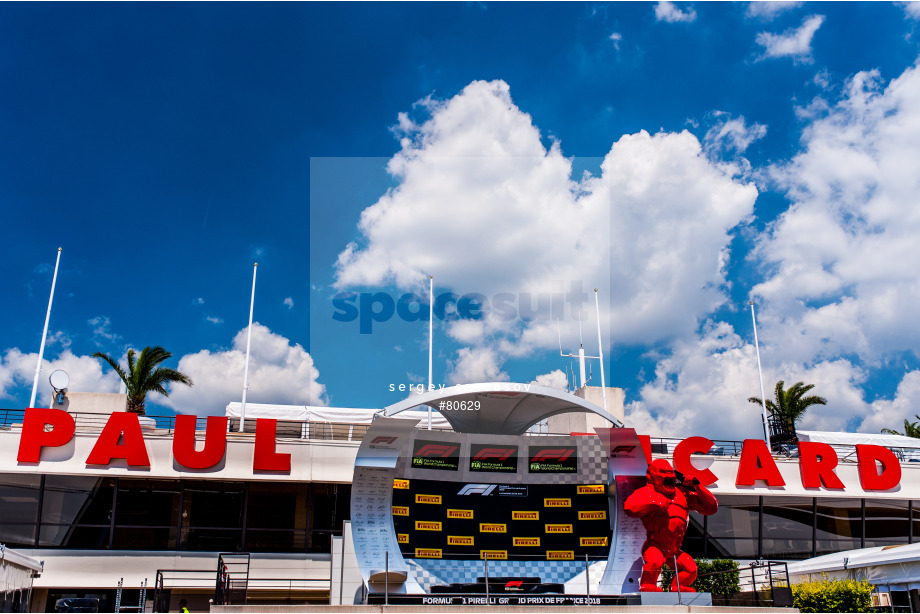 Spacesuit Collections Photo ID 80629, Sergey Savrasov, French Grand Prix, France, 21/06/2018 15:48:01