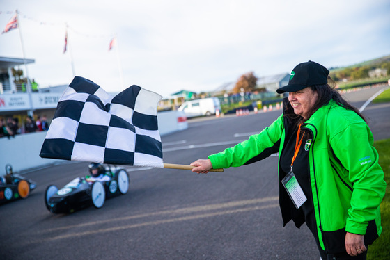 Spacesuit Collections Photo ID 333152, Adam Pigott, Goodwood International Final, UK, 09/10/2022 16:59:02