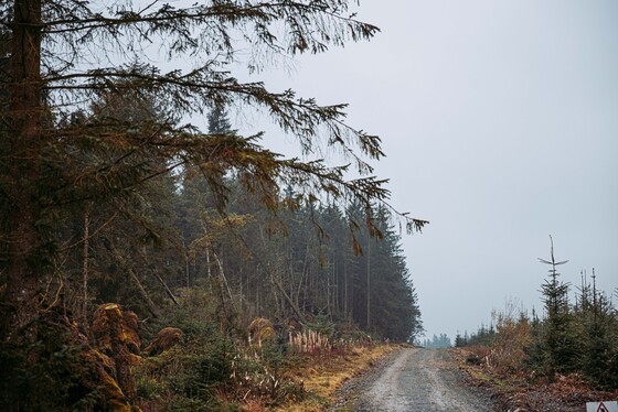 Spacesuit Collections Photo ID 514648, Adam Pigott, Cambrian Rally, UK, 25/10/2024 12:11:37