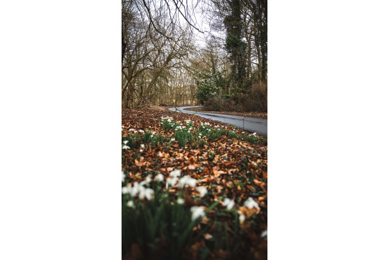 Spacesuit Collections Photo ID 534713, Adam Pigott, East Riding Stages, UK, 21/02/2025 13:27:51