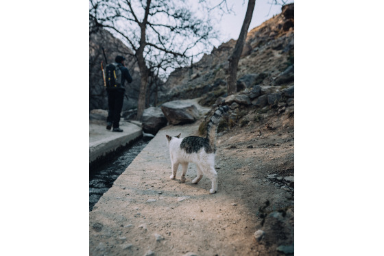 Spacesuit Collections Photo ID 527623, Pete Rudd, Expedition to Mount Toubkal, Morocco, 13/01/2025 09:52:15