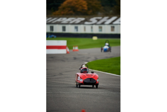 Spacesuit Collections Photo ID 513908, James Lynch, Greenpower International Final, UK, 13/10/2024 11:35:31