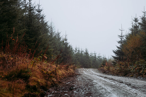 Spacesuit Collections Photo ID 514662, Adam Pigott, Cambrian Rally, UK, 25/10/2024 12:23:55