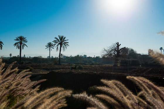 Spacesuit Collections Photo ID 122391, Lou Johnson, Marrakesh E-Prix, Morocco, 10/01/2019 10:21:01