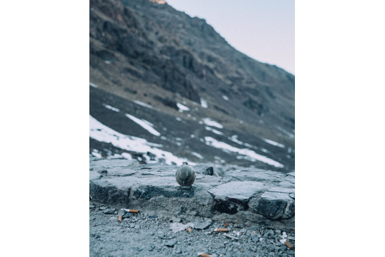 Spacesuit Collections Photo ID 527680, Pete Rudd, Expedition to Mount Toubkal, Morocco, 13/01/2025 16:31:35