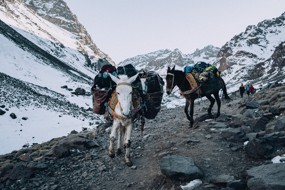 Spacesuit Collections Photo ID 527669, Pete Rudd, Expedition to Mount Toubkal, Morocco, 13/01/2025 15:56:56