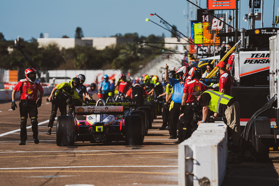 Spacesuit Collections Photo ID 217056, Taylor Robbins, Firestone Grand Prix of St Petersburg, United States, 25/10/2020 10:39:40