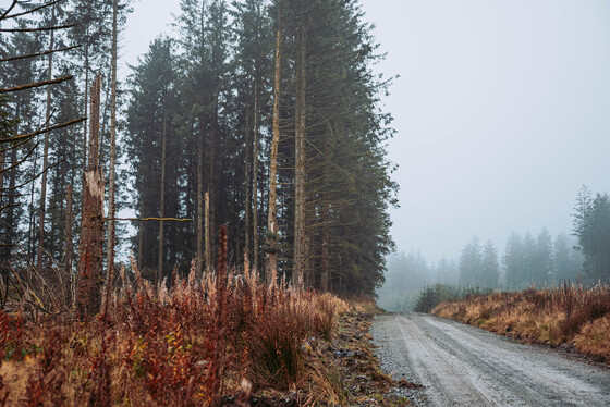 Spacesuit Collections Photo ID 514653, Adam Pigott, Cambrian Rally, UK, 25/10/2024 12:16:10