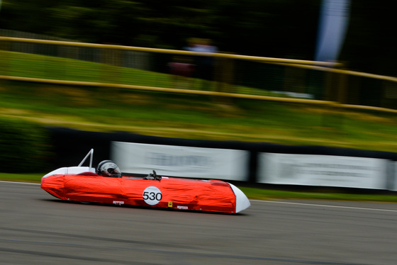 Spacesuit Collections Photo ID 31460, Lou Johnson, Greenpower Goodwood, UK, 25/06/2017 11:12:40
