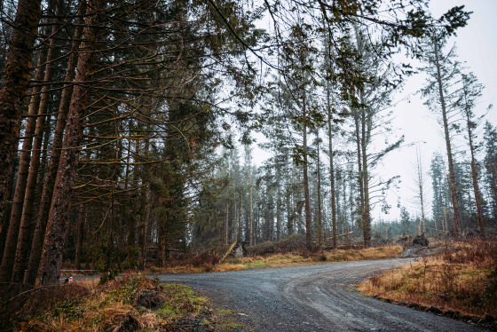 Spacesuit Collections Photo ID 514657, Adam Pigott, Cambrian Rally, UK, 25/10/2024 12:18:42