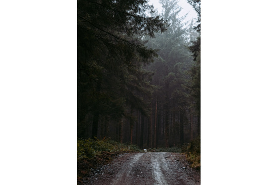 Spacesuit Collections Photo ID 514671, Adam Pigott, Cambrian Rally, UK, 25/10/2024 12:29:15